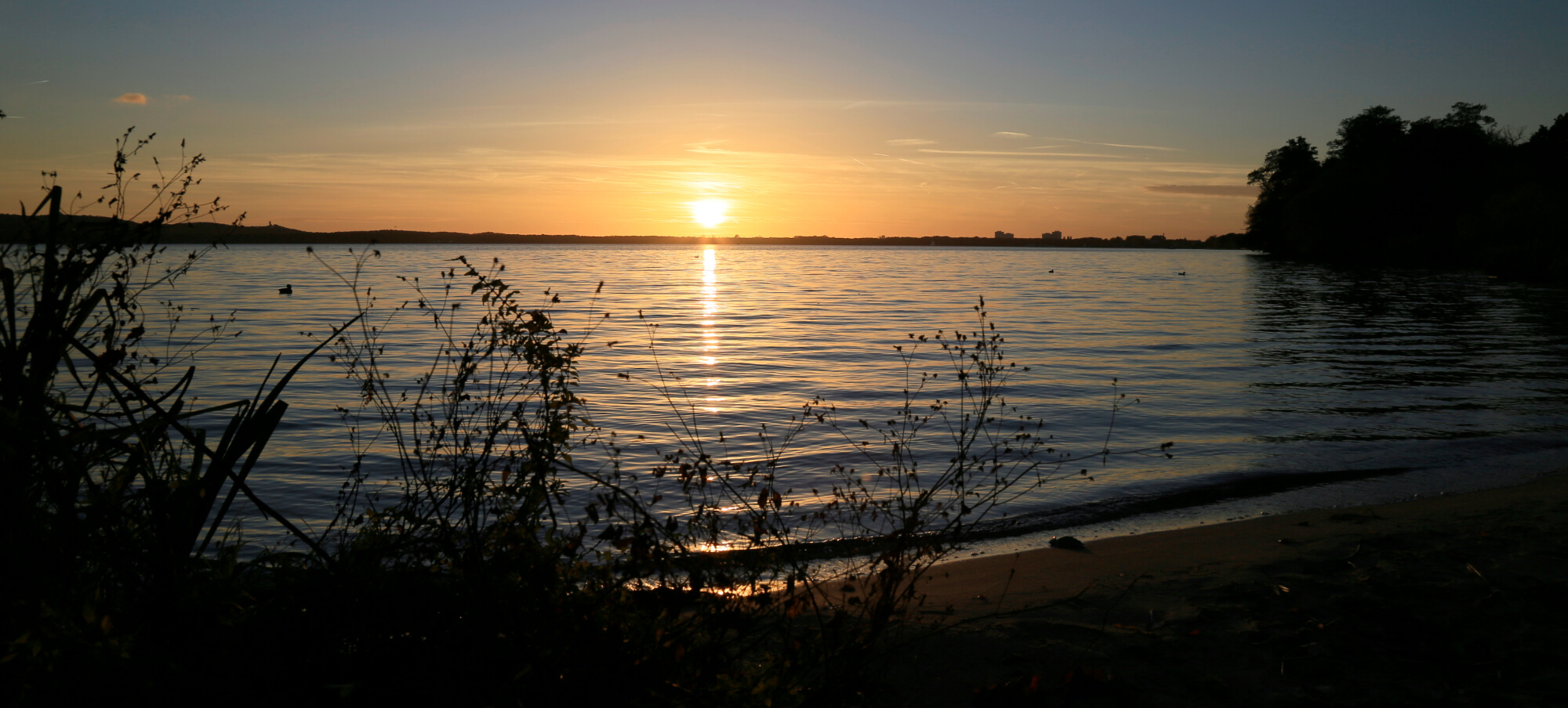 Müggelsee - Ein Sehnsuchtsort mit Urlaubsfeeling - Berlin Cityschiffsfahrt
